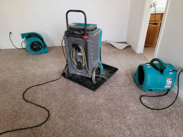 Best Fire Damage Restoration  in Woodlands, CA