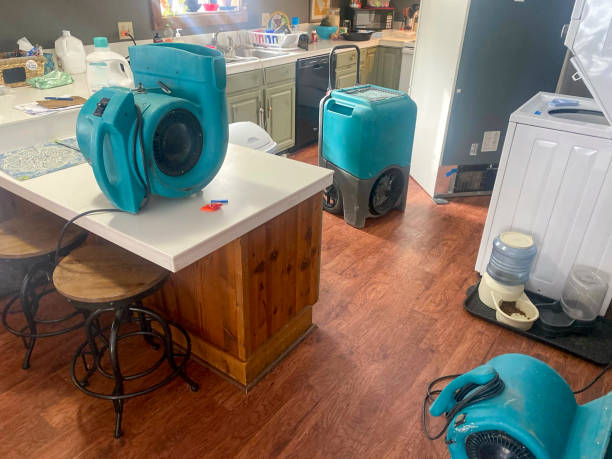 Best Flooded house restoration  in Woodlands, CA