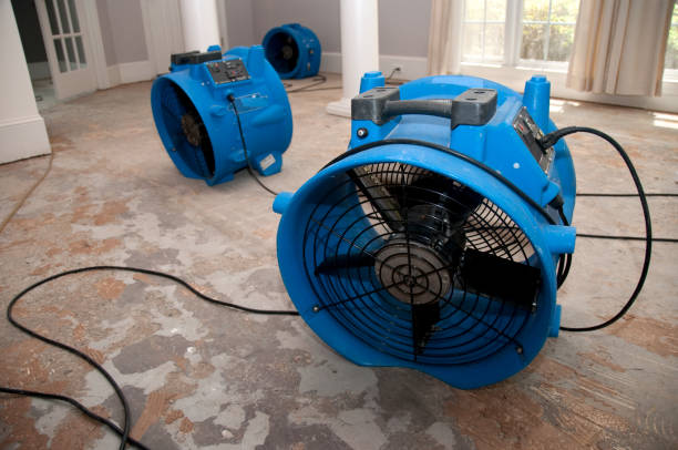 Best Water damage restoration near me  in Woodlands, CA