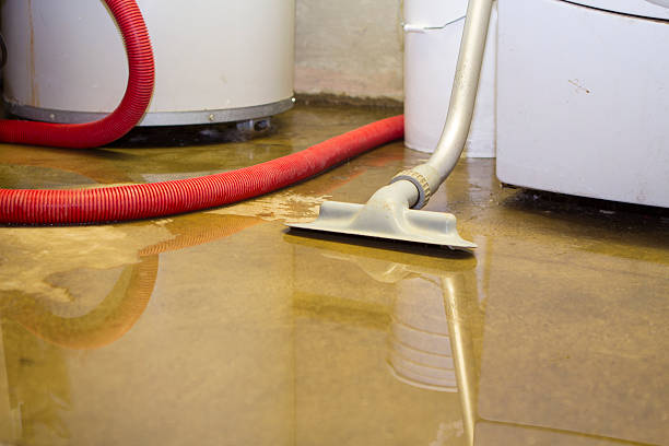 Best Professional water damage repair  in Woodlands, CA