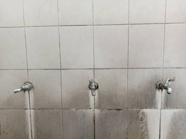 Best Emergency water extraction  in Woodlands, CA