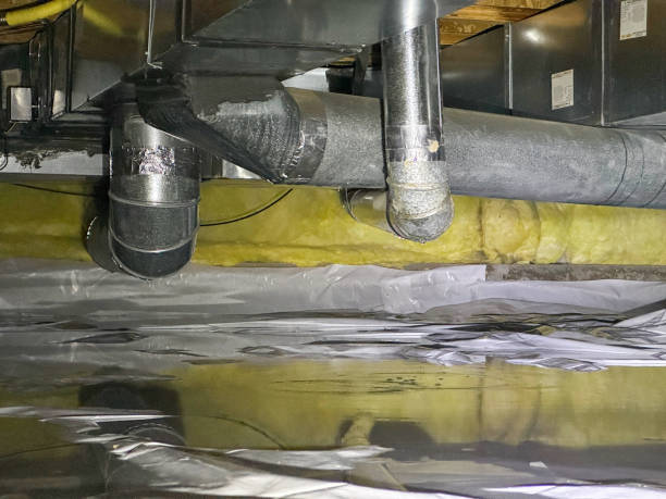 Best Mold removal after water damage  in Woodlands, CA