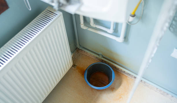 Best Water damage restoration cost  in Woodlands, CA